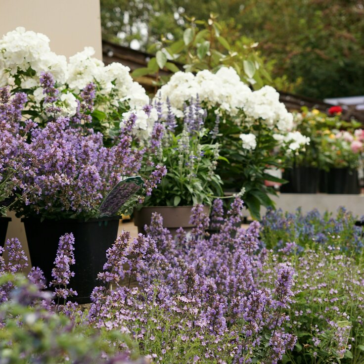 Zo maak je je tuincentrum nog duurzamer en spaar je de natuur (Tuinnieuws)