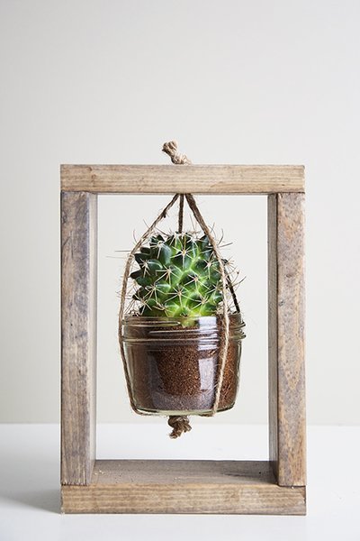 Cactushouder maken (Do It Yourself)