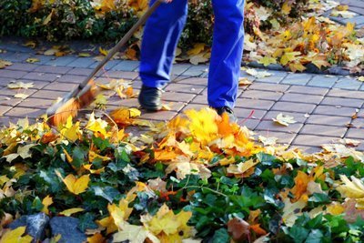 Checklist voor tuinieren in november (Tuinieren)