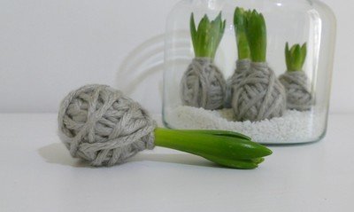 Do it Yourself: Bloembollen met een jasje van wol (Do It Yourself)