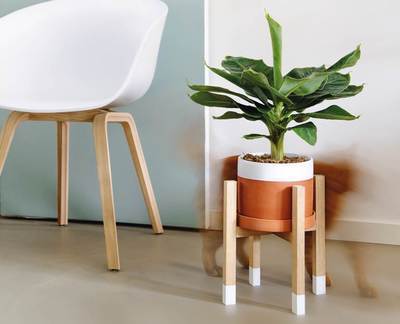 DIY Plantenstandaard maken (Do It Yourself)