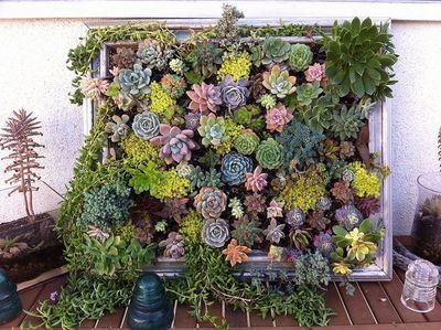Do It Yourself Schilderij van vetplanten (Do It Yourself)