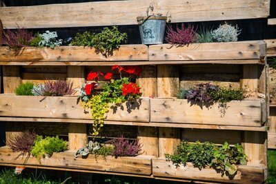 DIY: Maak van uw oude pallet een moestuin! (Do It Yourself)