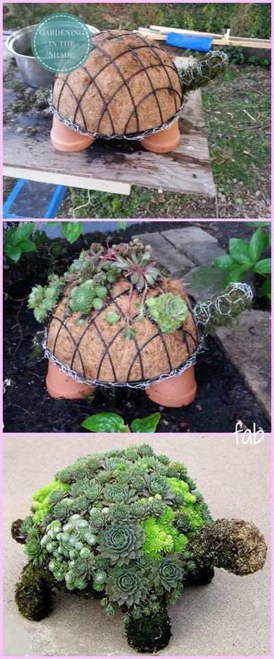 Do it Yourself Vetplanten schilpad maken (Do It Yourself)