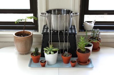 Do It Yourself Handig systeem om de planten water te geven (Do It Yourself)
