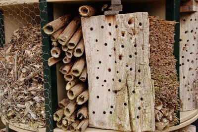 DIY: ecologische tuinprojecten (Do It Yourself)