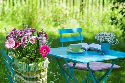 Vier gouden tips om uw tuinplanten mooi te houden tijdens de zomer (Tuinieren)