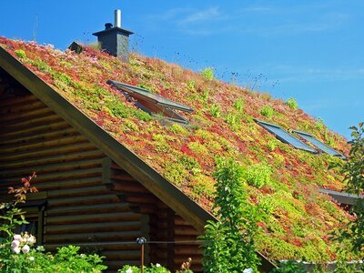 Meer groen om je heen? Kies voor een groendak! (Tuinnieuws)