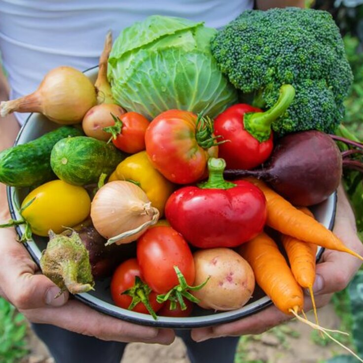 Zelf groenten kweken of toch liever de supermarkt?