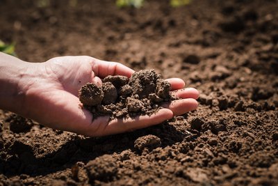 Hoe bepaalt u de grondsoort van uw tuin? (Tuinieren)