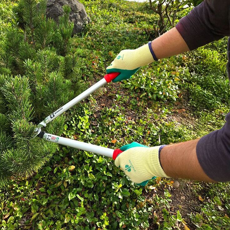 Hoe u uw handen optimaal beschermt tijdens zwaar werk in de tuin (Tuinieren)