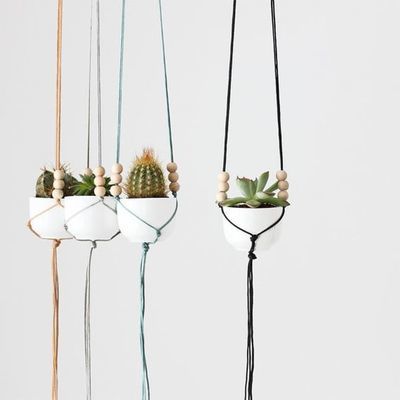 DIY: hang uw mini cactussen op (Do It Yourself)