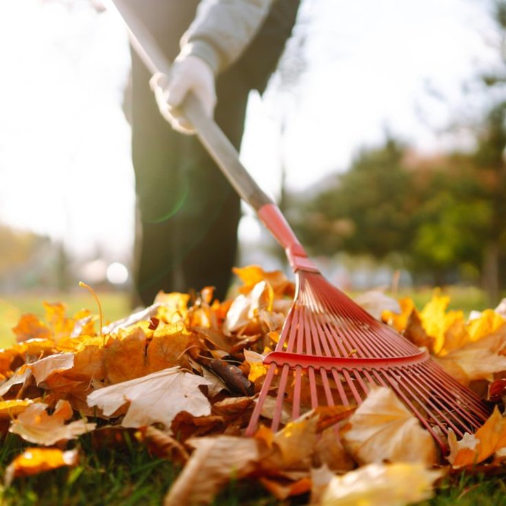 Vier essentials voor startende tuinmannen
