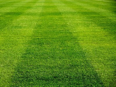 Het gras bij de buren (Gazon)