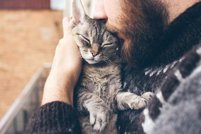 Wereld Kattendag (Dierbenodigdheden)