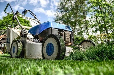 Is uw tuin goed verzekerd? (Tuinnieuws)