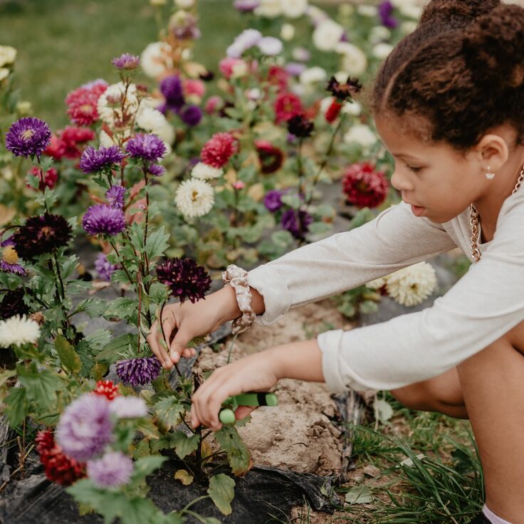 Samen de tuin in: leuke en leerzame buitenprojecten met kinderen (Kinderen en Tuin)