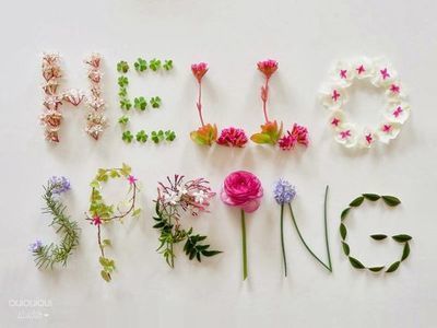 Tips voor de lente! (Tuinnieuws)