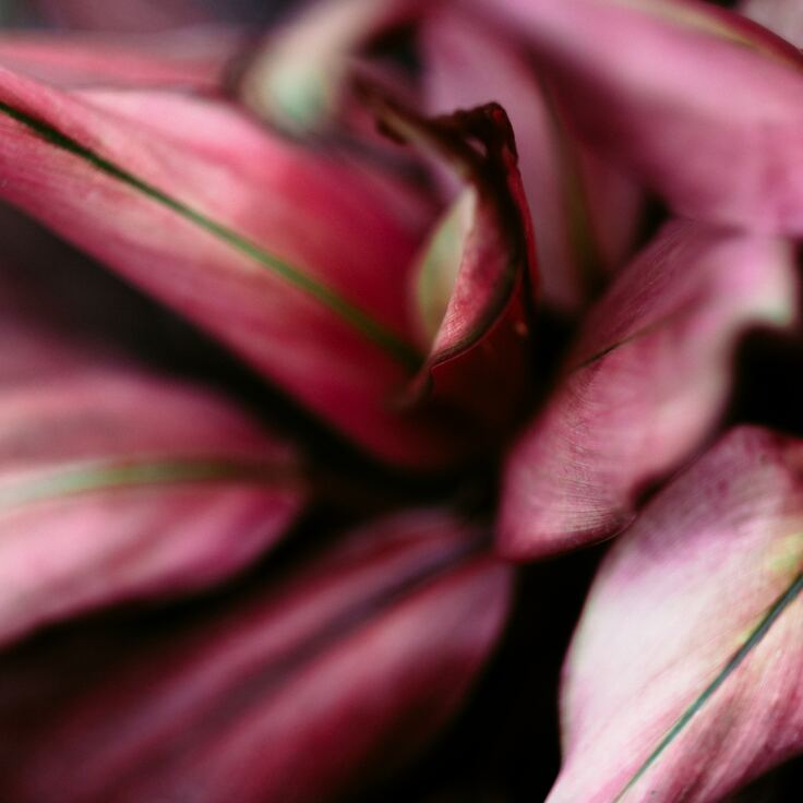 Leuke tuincadeaus voor bedrijven (Dieren in de tuin)