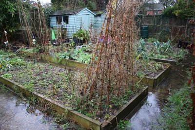 Maak uw moestuin winterklaar! (Moestuin)