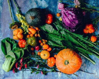 Zo zal de tuin van de toekomst er uit zien (Tuinnieuws)