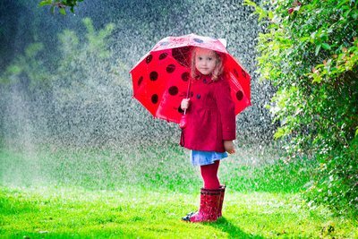 Welke planten zet u in een natte tuin? (Tuinieren)