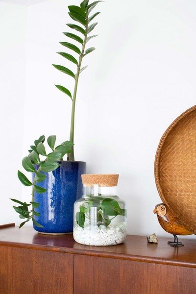 DIY Onderwatertuin in een pot (Do It Yourself)
