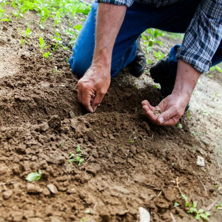 Voordelen van het ondersteunen van lokale tuincentra (Tuinieren)