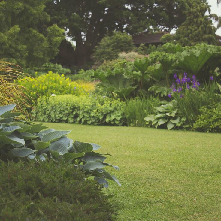 5 tips voor een onderhoudsarme en zorgeloze tuin