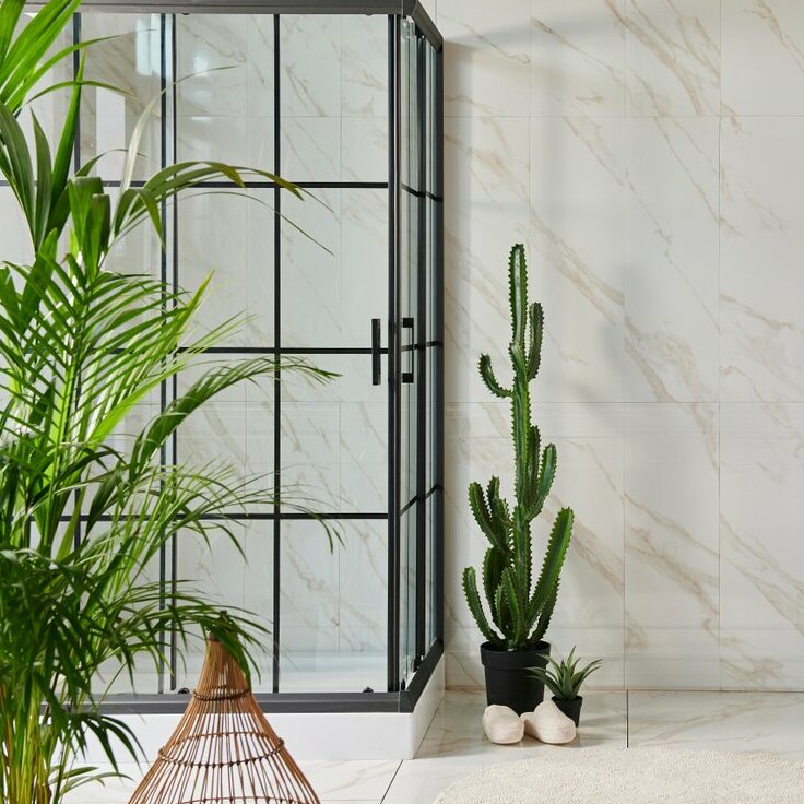 Groen in je badkamer: deze planten doen het goed in vochtige ruimtes (Kamerplanten)