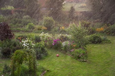 Help! Overtollig regenwater (Tuinieren)