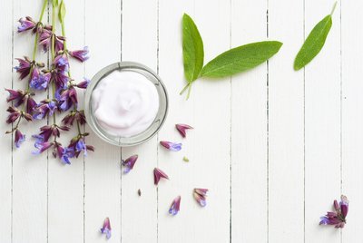 Zo snoei je de Salie of Salvia in de zomer! (Tuinieren)