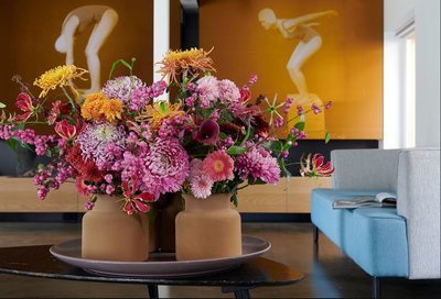 Mooie septemberbloemen: chrysanten (Kamerplanten)