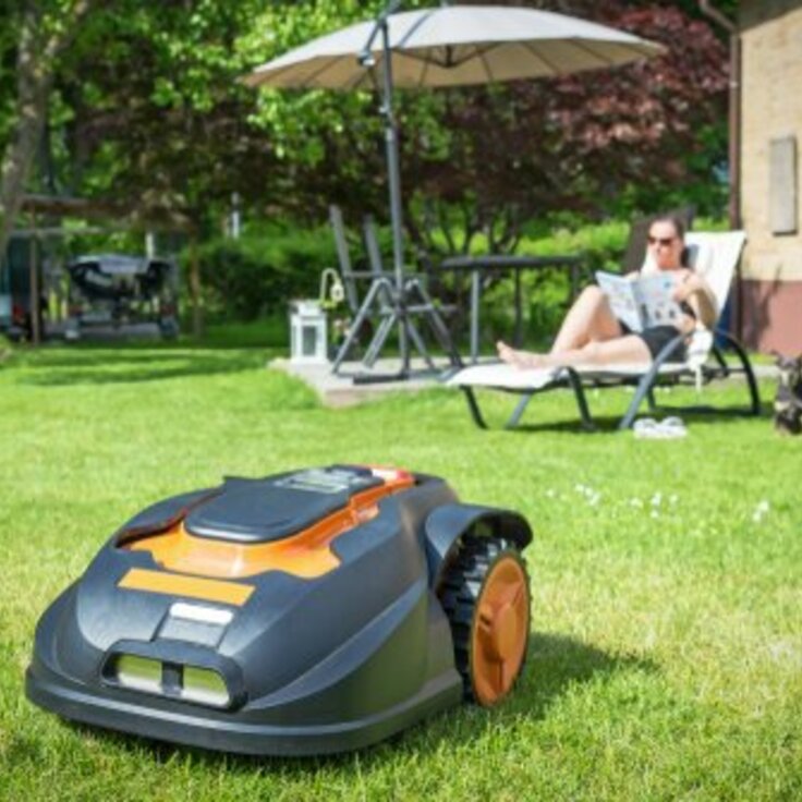 Onderhoudsvriendelijke tuin in Vlaanderen