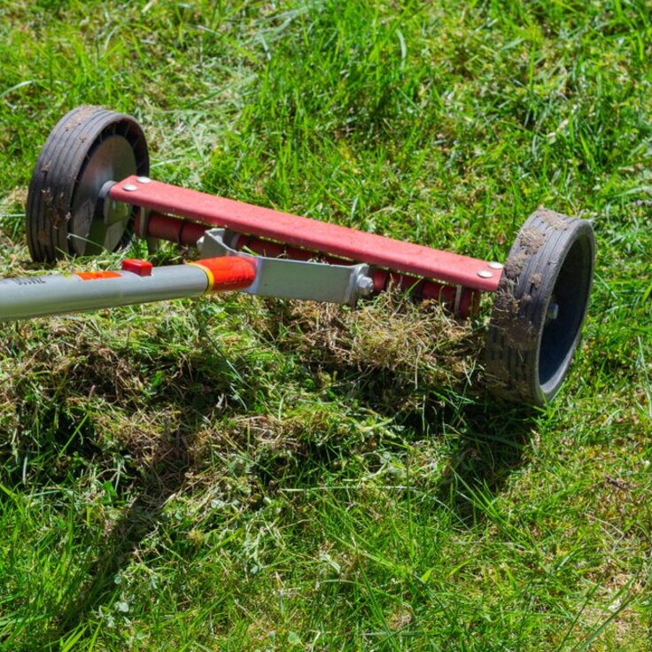Gras verticuteren: hoe en wanneer?