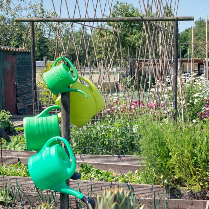 Tuinonderhoud: Moestuin onderhoud, Ongedierte bestrijding en Compost maken