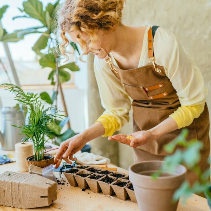 Voorbereiding op het Groeiseizoen (Moestuin)