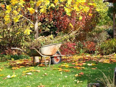 Tuintips oktober (Tuinieren)