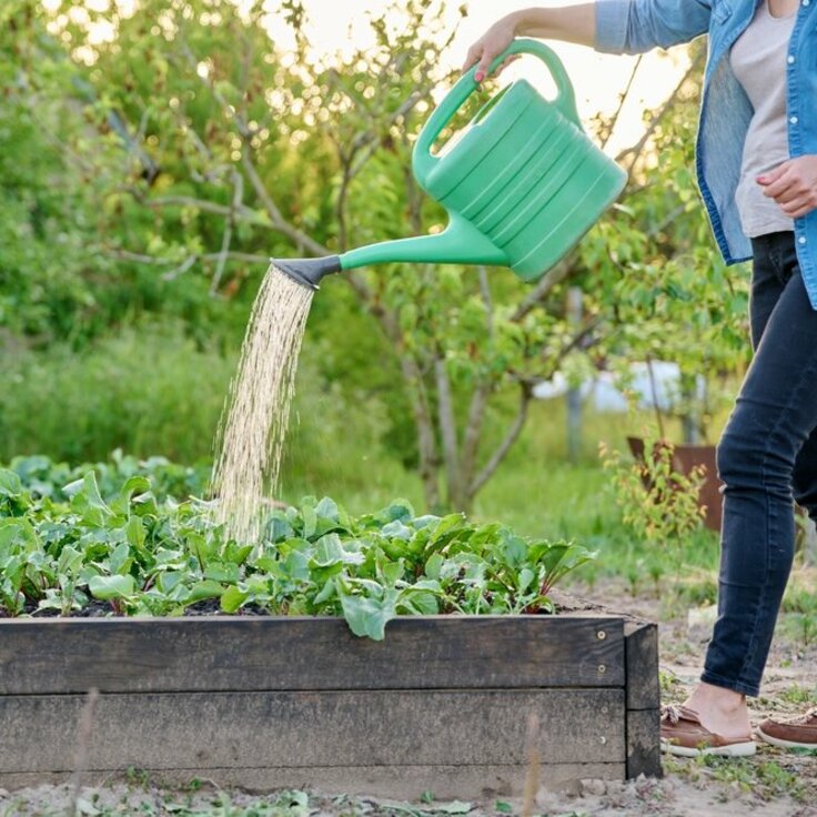 Tuinontwerp en -aanleg | Tuinplanten water geven