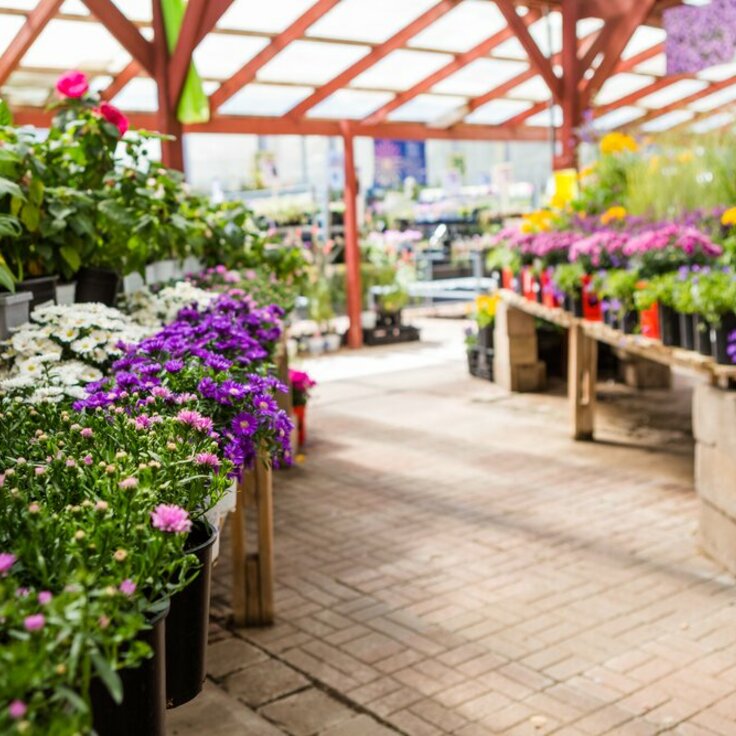 Welke tuincentra zijn er open op zondag? (Tuinnieuws)