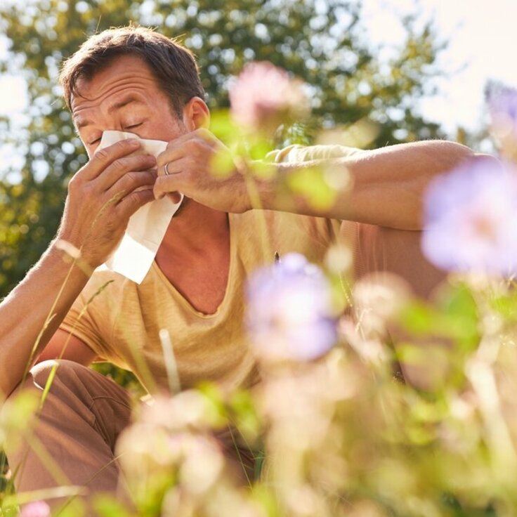 Hooikoorts en planten: Slimme strategieën om klachten te vermijden