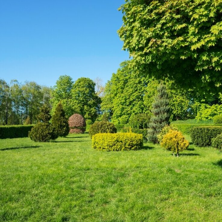 10 waardevolle tips voor een prachtige tuin in juli (Tuinnieuws)