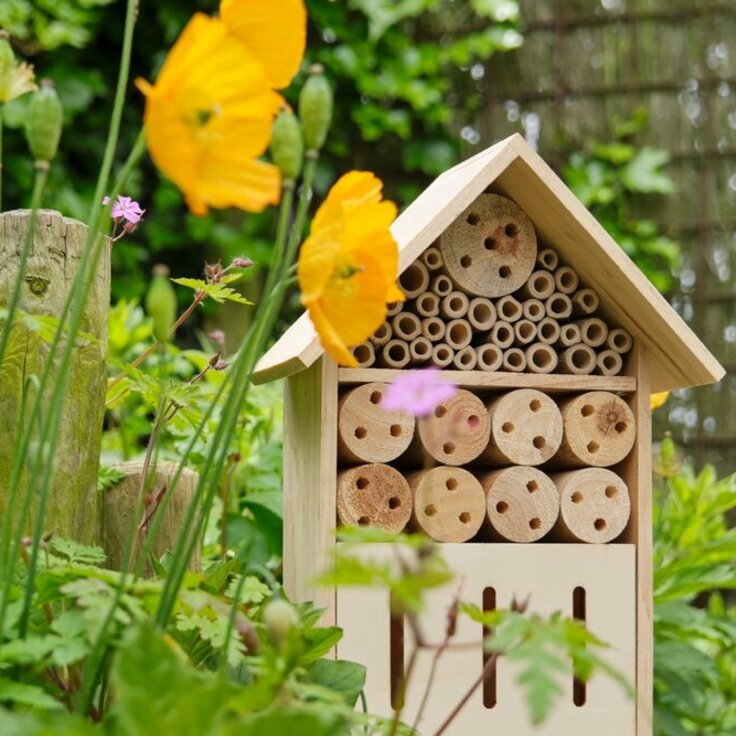 Insectenhotel maken: Een thuis voor nuttige beestjes (Dieren in de tuin)
