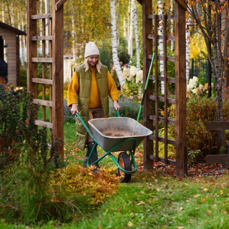 Een Groene Gids voor November: De Tuinkalender