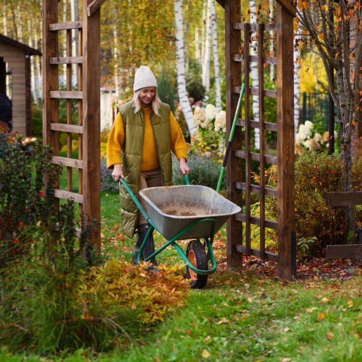 Een Groene Gids voor November: De Tuinkalender (Tuinnieuws)