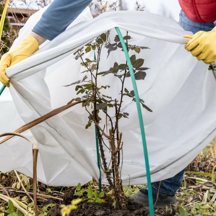 De Start van het Tuinjaar: Tuinkalender Januari