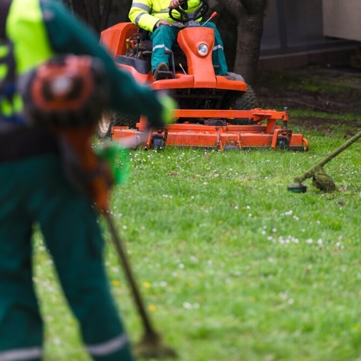 Zo maakt u snoeigereedschap schoon