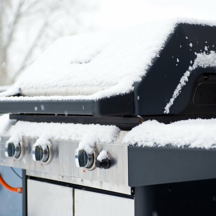 Het Winterse Vuurfestijn (Barbecue)