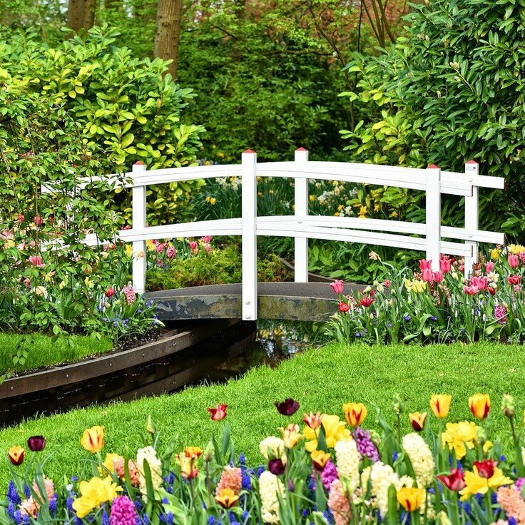 Tuinontwerp: breng de buitenruimte tot leven (Tuinnieuws)