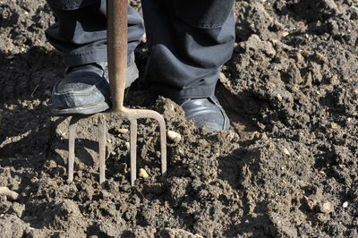 Tuin omspitten voor de winter: de juiste manier! (Tuinieren)